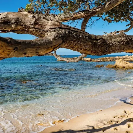Дом отдыха Cozy In Monticchi *